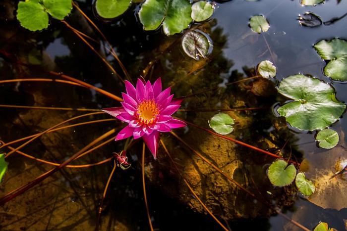 the elements krabi resort