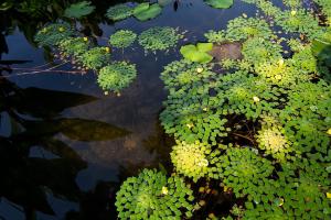 the elements krabi resort
