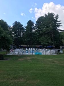 elmwood motor court