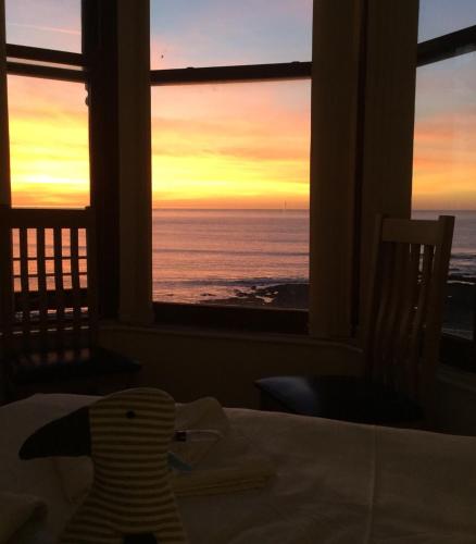 the cardigan bay guest house