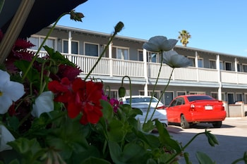 the shores inn and beach houses