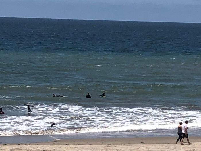 ventura