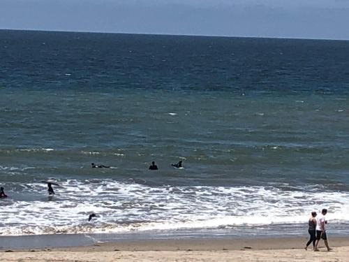 ventura