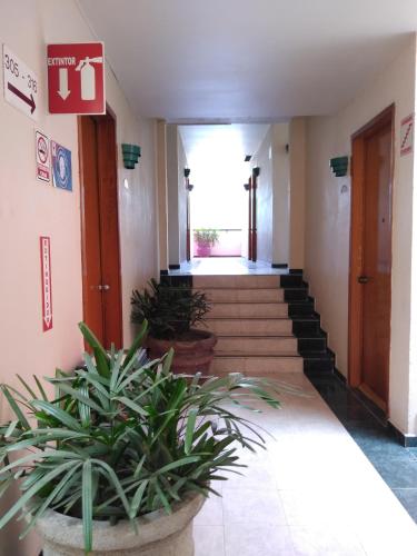 hotel tamazunchale