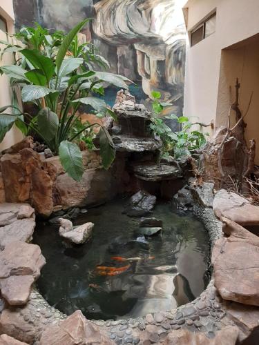 hotel tamazunchale