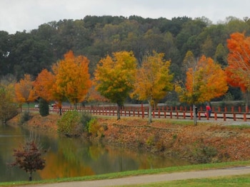 motel 6 kingsport tn