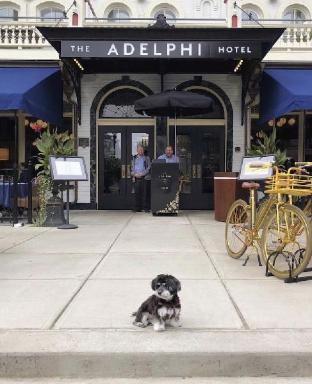 the adelphi hotel
