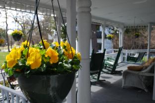 annes washington inn adults only