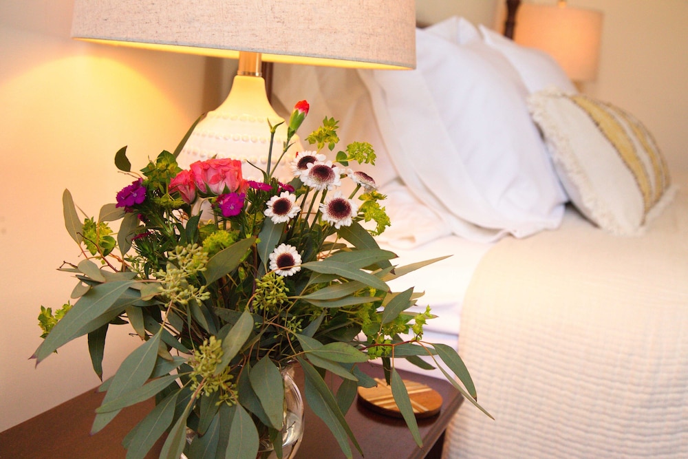 louisville bourbon inn