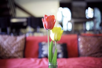 wiki hostel and greenvillage adults only