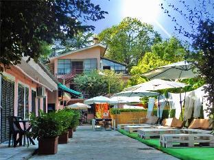 wiki hostel and greenvillage adults only