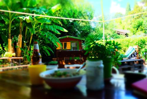 wiki hostel and greenvillage adults only