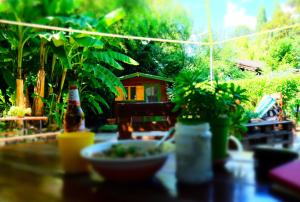 wiki hostel and greenvillage adults only