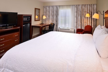 hampton inn by hilton litchfield
