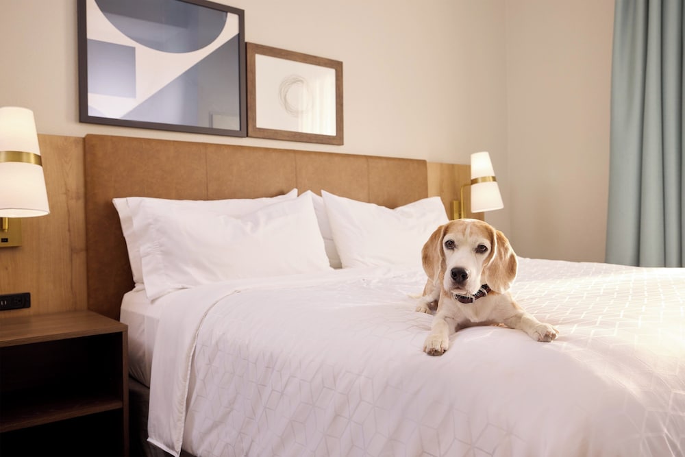 staybridge suites liverpool by ihg