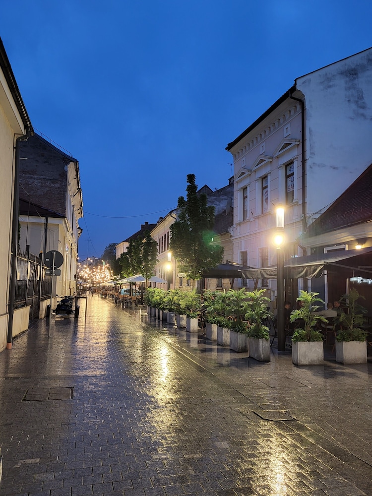 cluj napoca
