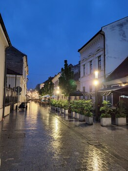 cluj napoca
