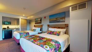 Surfside On The Lake,Diamond Point>>Albany,3 star