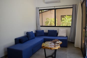 blue window