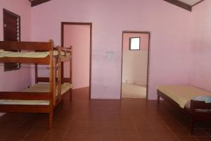 bluepango guest house hostel