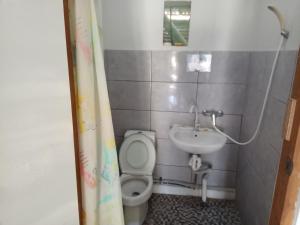 bluepango guest house hostel