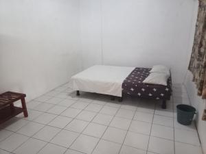 bluepango guest house hostel