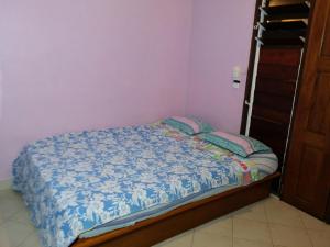 bluepango guest house hostel