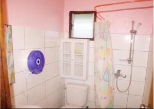 bluepango guest house hostel