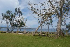 bluepango guest house hostel