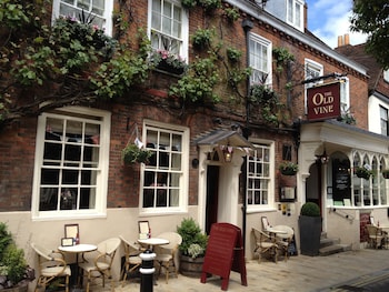 the old vine