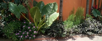 transit motel ukonga