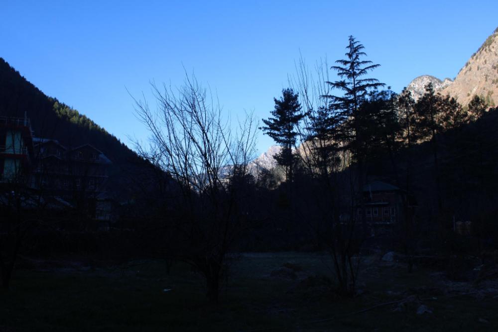 black martini luxury camps and cafe