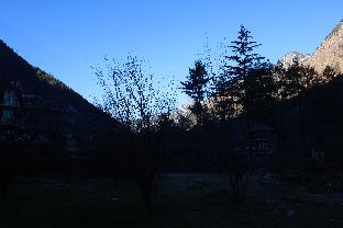 black martini luxury camps and cafe