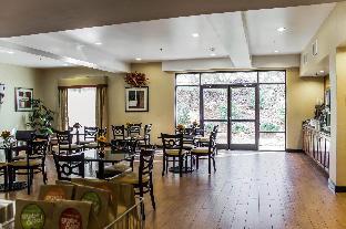 comfort suites clayton garner