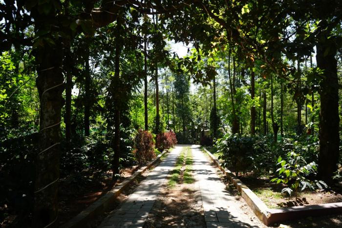 chikmagalur