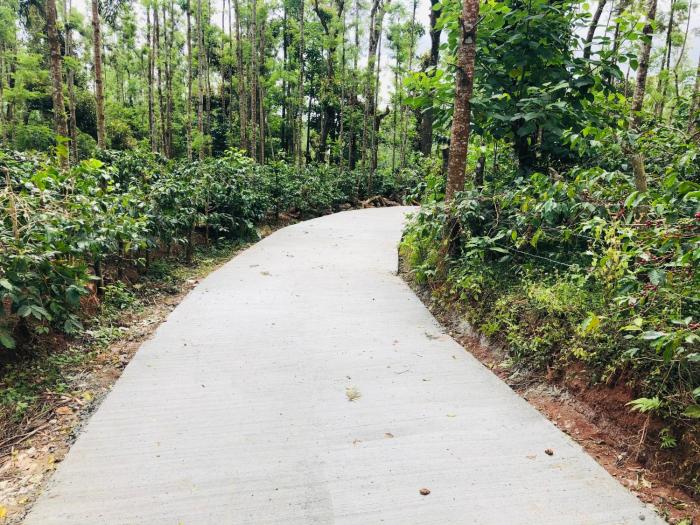 chikmagalur