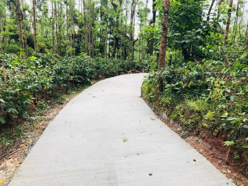 chikmagalur