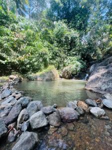 the mountcourt munnar