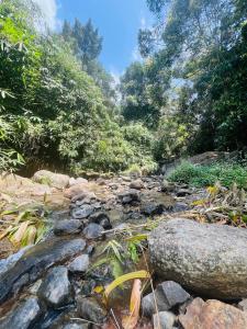 the mountcourt munnar