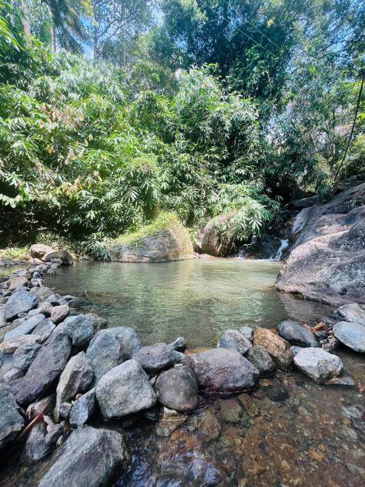 the mountcourt munnar