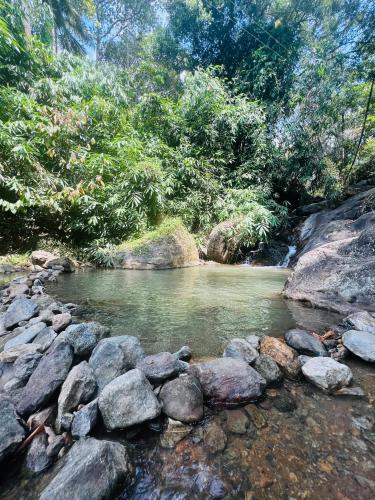 The Mountcourt Munnar,,3 star