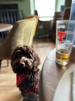 the kenmuir arms hotel