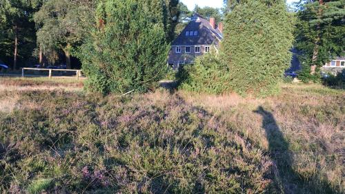 bispingen