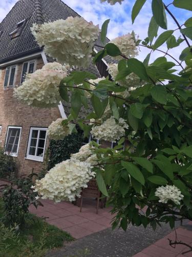 bispingen