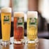 best western plus theodor storm hotel