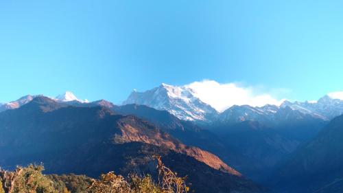 chaukhamba view resort