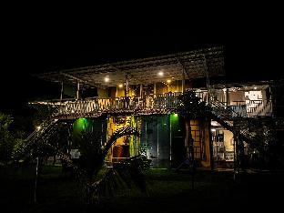 Forrest Homestay,,0 star