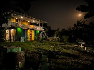 Forrest Homestay,,0 star