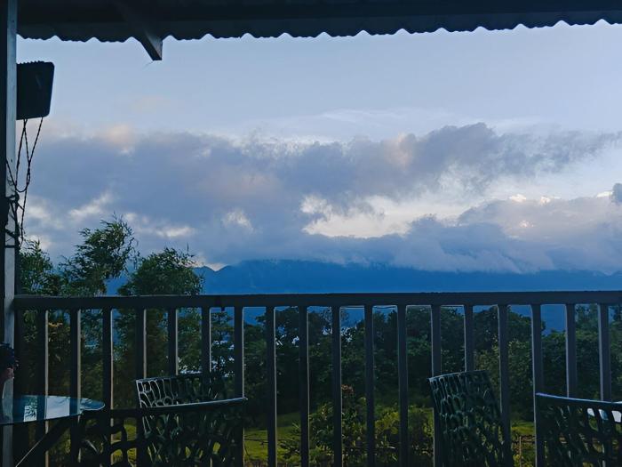 forrest homestay villa