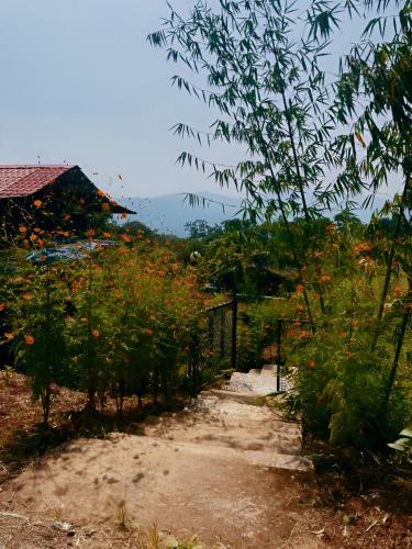 forrest homestay villa